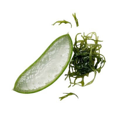 The-Every-Aloe-Vera-&-Algae